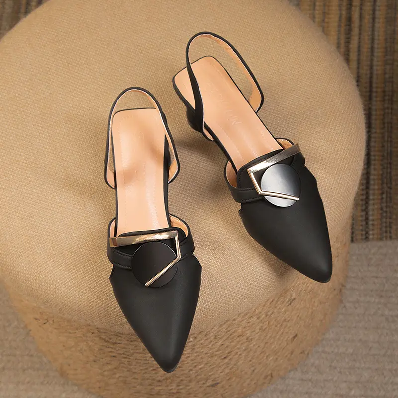 Baotou Thick Heel Sandals Spring New Pointed Head Shallow Mouth Metal Buckle A Slip-on Wear-resistant High Heels