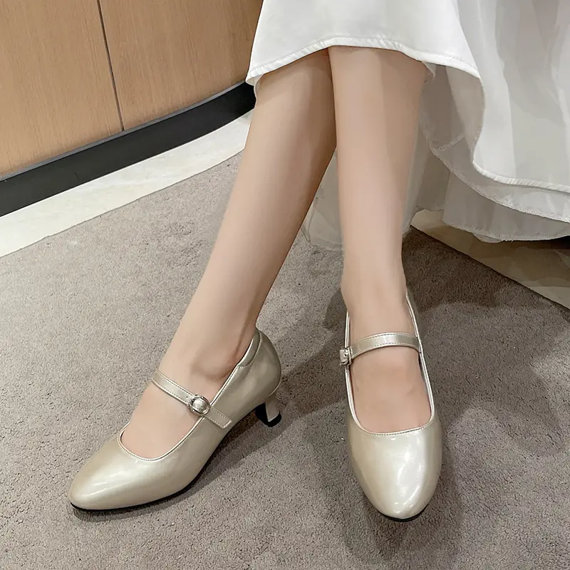 Women's Autumn New Pointed Toe Shallow Heel Mary Jane Single Shoes Metal Buckle One Strap Non-Slip Low Top Shoes
