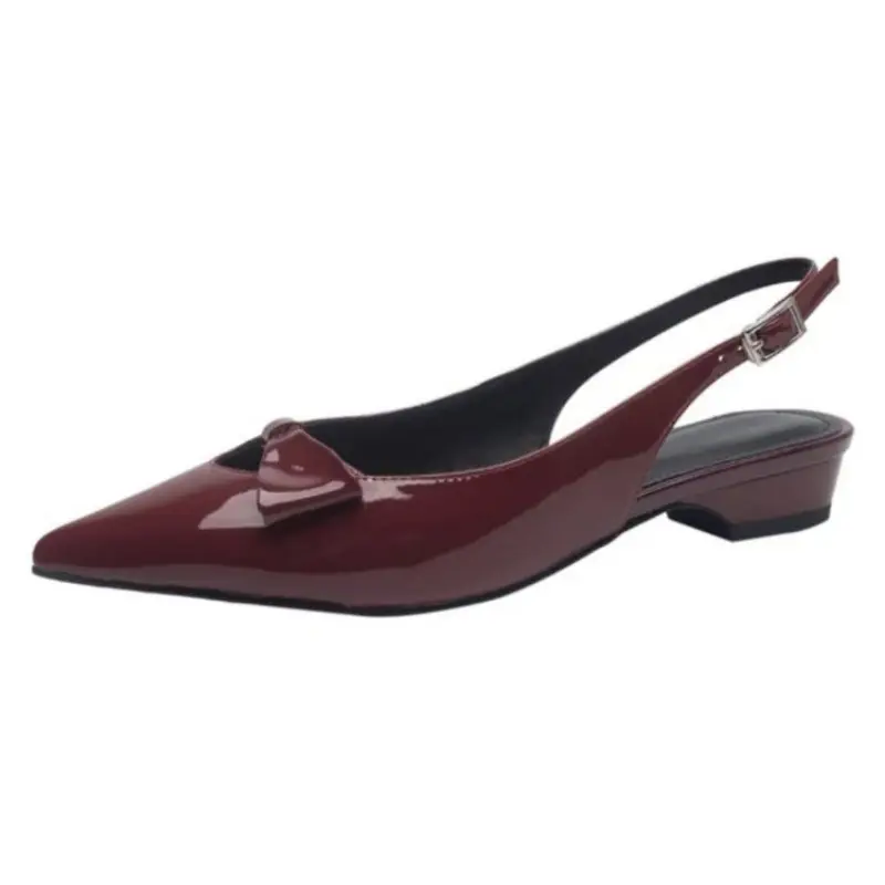 Spring New Coarse Heel Shoes for Women Fashion Pointy Shallow Hollow Out A Word with Anti-slip Wear-resistant Low Heel Shoes