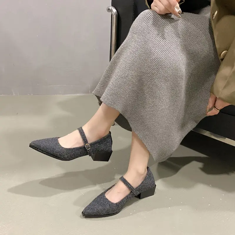 Autumn New Coarse Heel Shoes Women's Fashion Pointed Shallow Mouth Suede Anti-slip Wear-resistant Low-top Shoes