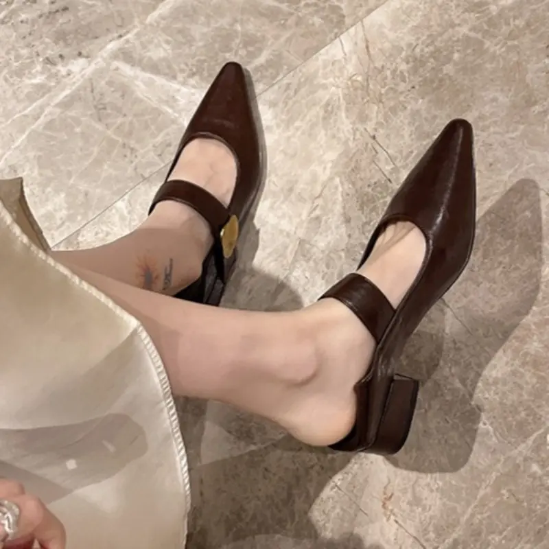 French Block Heel Single Shoes Women Spring and Autumn New Metal Buckle Pointed Toe Shallow Mouth One Belt Mary Jane Shoes