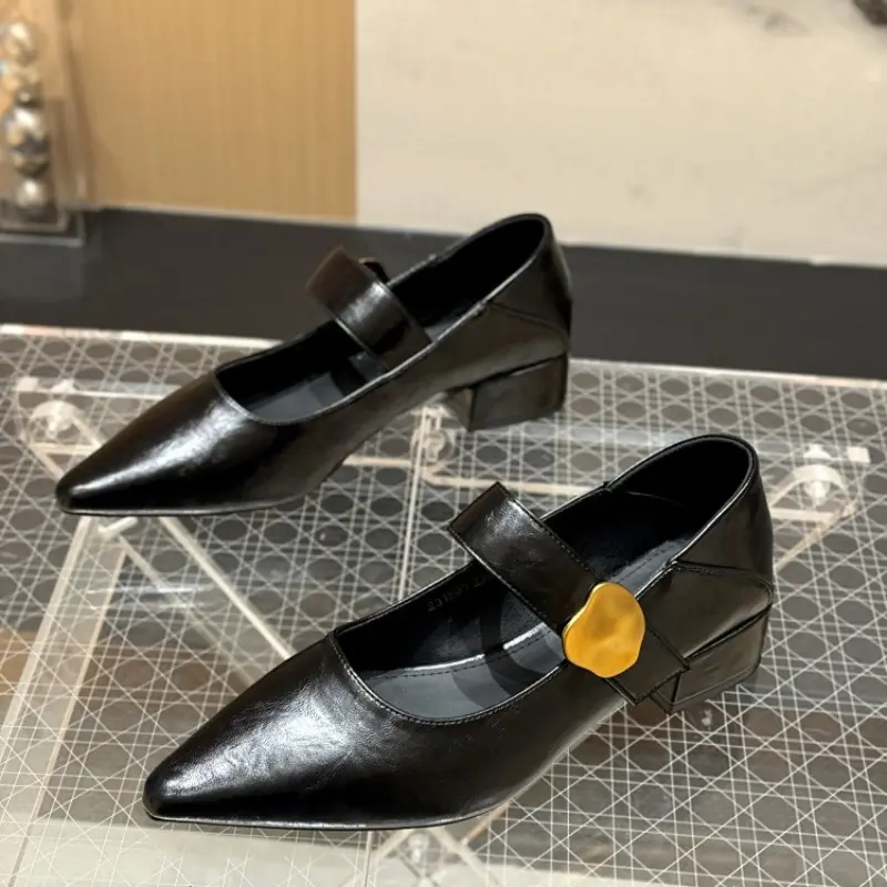 French Block Heel Single Shoes Women Spring and Autumn New Metal Buckle Pointed Toe Shallow Mouth One Belt Mary Jane Shoes