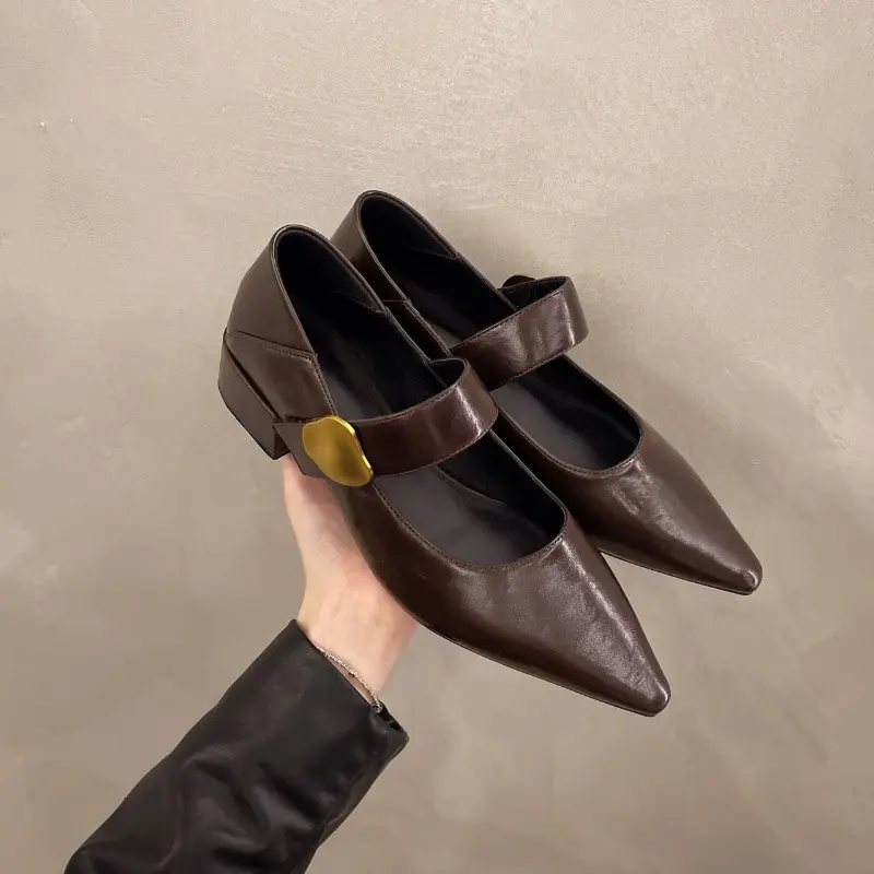French Block Heel Single Shoes Women Spring and Autumn New Metal Buckle Pointed Toe Shallow Mouth One Belt Mary Jane Shoes
