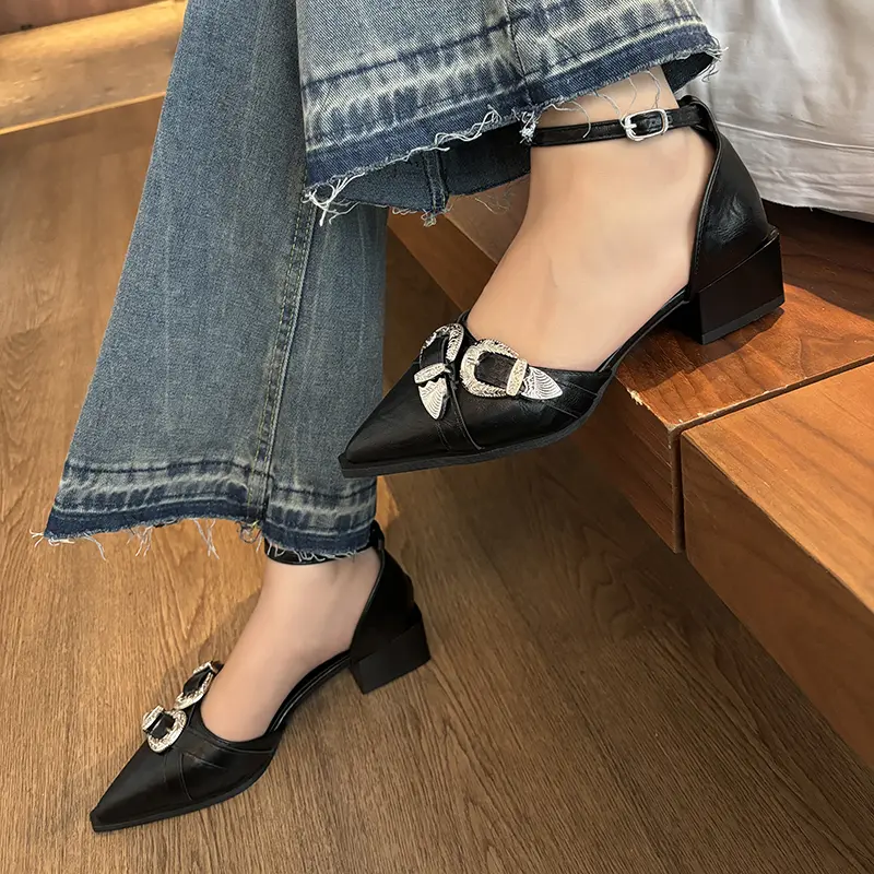 Fashion Block Heel Pointed Toe Sandals Women's Spring New Baotou Shallow Mouth One Buckle Strap Low Heel Shoes
