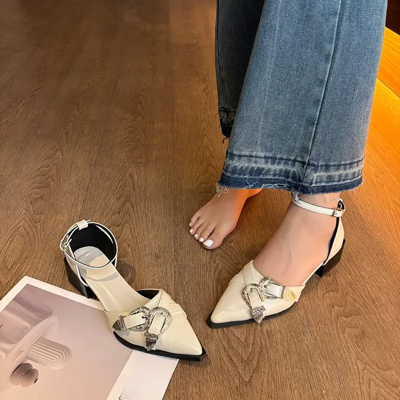 Fashion Block Heel Pointed Toe Sandals Women's Spring New Baotou Shallow Mouth One Buckle Strap Low Heel Shoes