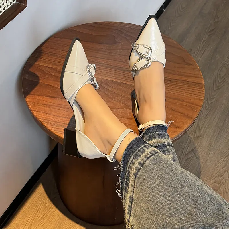 Fashion Block Heel Pointed Toe Sandals Women's Spring New Baotou Shallow Mouth One Buckle Strap Low Heel Shoes