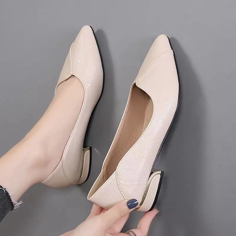 2025 Spring and Autumn New Pointed Toe Single Shoes Women Thick Heel Shallow Mouth Professional All-match Women's Leather Shoes