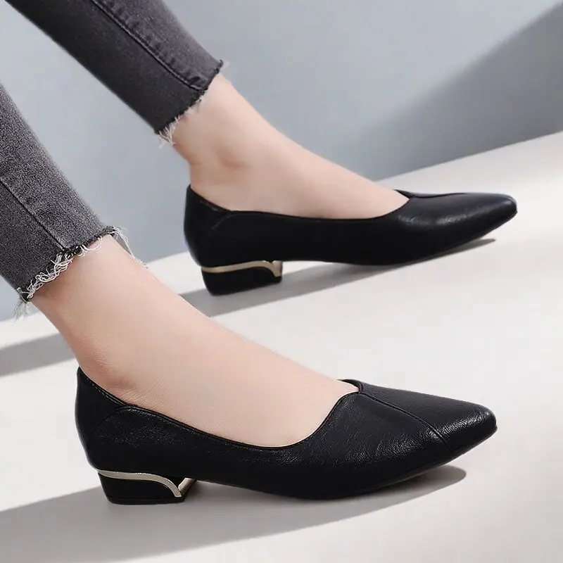 2025 Spring and Autumn New Pointed Toe Single Shoes Women Thick Heel Shallow Mouth Professional All-match Women's Leather Shoes