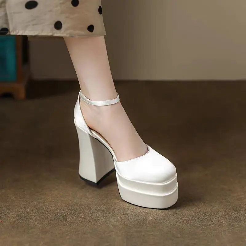 Mary Jane Shoes Women 2024 New Spring Autumn Thick Heels High Heels Waterproof Platform Hollow Luxury Brand Women's Shoes Pumps