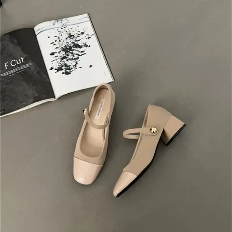 Thick Heel Mary Jane Single Shoes Women's New Spring French Mid Heel Evening Black Square Head Small Leather Shoes
