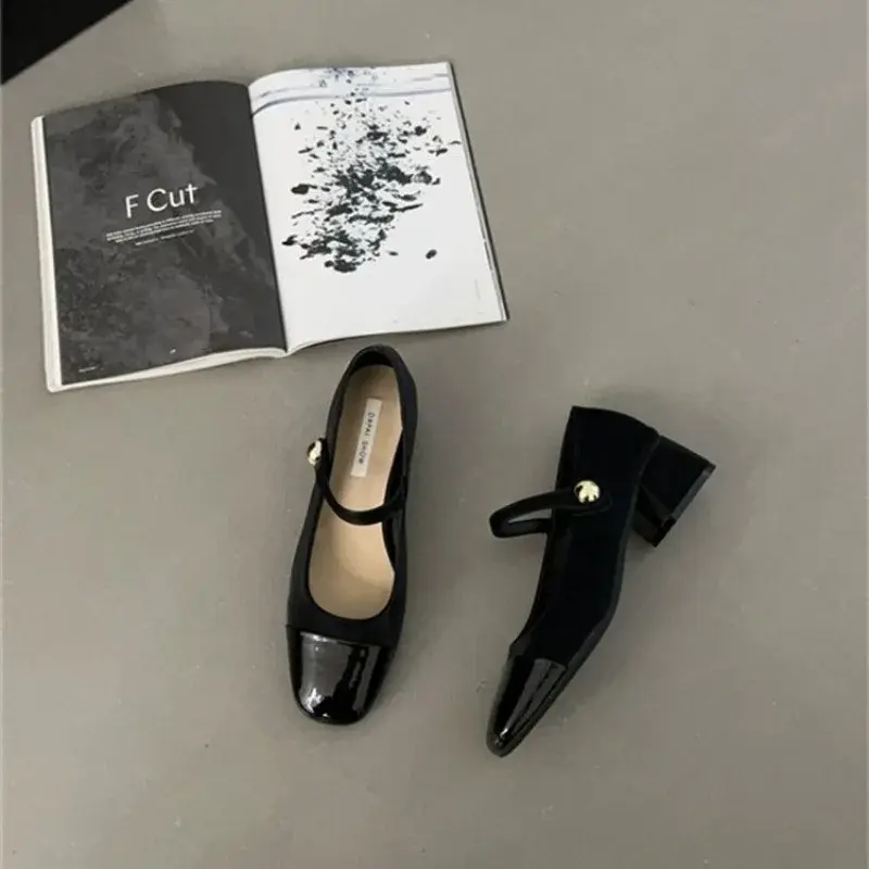 Thick Heel Mary Jane Single Shoes Women's New Spring French Mid Heel Evening Black Square Head Small Leather Shoes