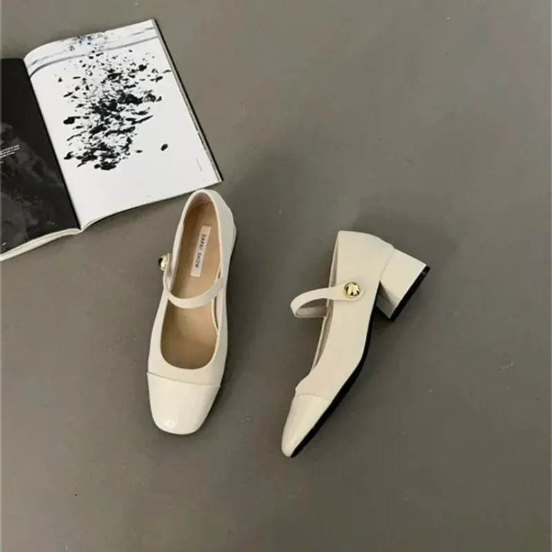 Thick Heel Mary Jane Single Shoes Women's New Spring French Mid Heel Evening Black Square Head Small Leather Shoes
