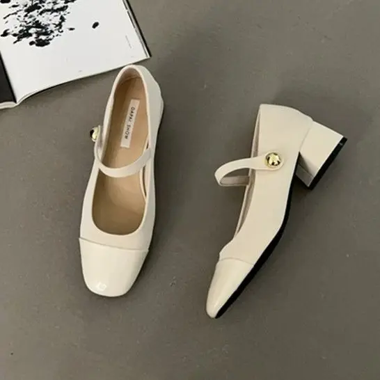 Thick Heel Mary Jane Single Shoes Women's New Spring French Mid Heel Evening Black Square Head Small Leather Shoes