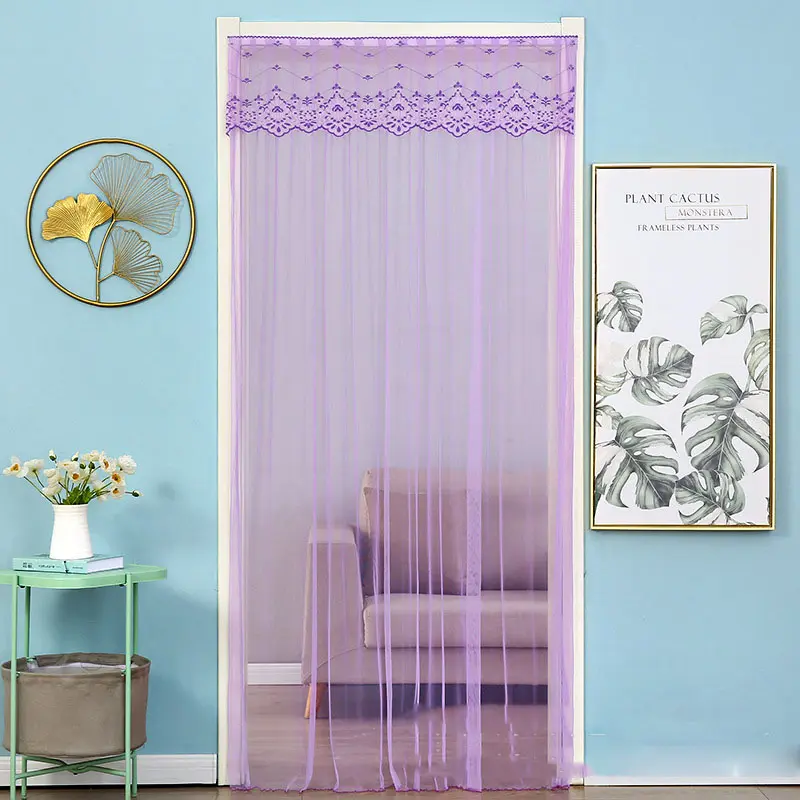 Lace Embroider Summer Anti Mosquito Insect Net Door Curtain Light-transmitting Pleated Door Curtain Living Room Bedroom Screen