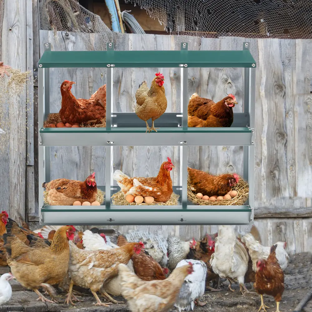 Chicken House, 6 Chamber Metal Chicken House, Galvanized Steel Hen House Chicken Coop Farm