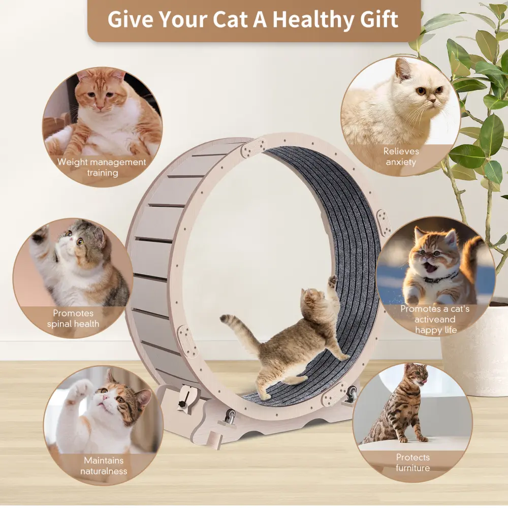 Cat Exercise Wheel for Indoor Cats, Cat Running Wheel with Carpeted Runway, 41" Natural Wood Color Cat Wheel  Cat Toys