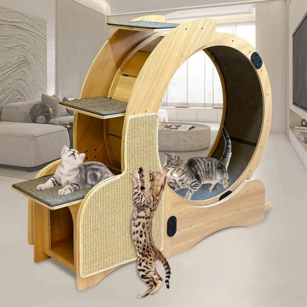 5 in 1 Cat Exercise Running Wheel, Cat Wheel Wooden Climbing Frame, Exercise Wheel Cat Wheel