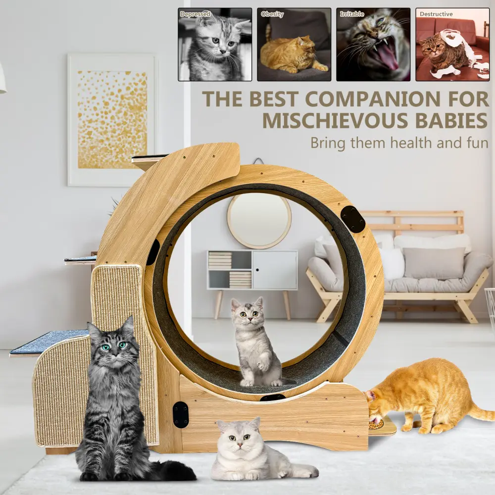 5 in 1 Cat Exercise Running Wheel, Cat Wheel Wooden Climbing Frame, Exercise Wheel Cat Wheel