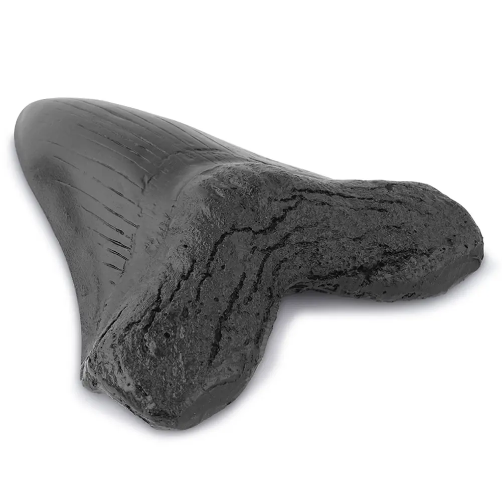 Easy Clean Giant Megalodon Tooth 5inch Shark Teeth Model Marine Bology Teaching Props Black Shark Teeth Fossil for Kids Childs