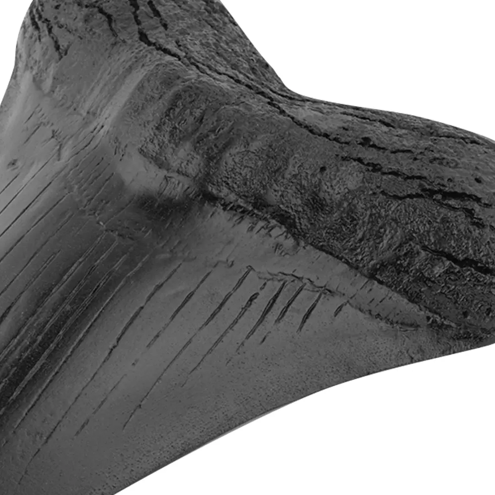 Easy Clean Giant Megalodon Tooth 5inch Shark Teeth Model Marine Bology Teaching Props Black Shark Teeth Fossil for Kids Childs