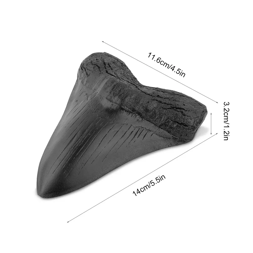 Easy Clean Giant Megalodon Tooth 5inch Shark Teeth Model Marine Bology Teaching Props Black Shark Teeth Fossil for Kids Childs