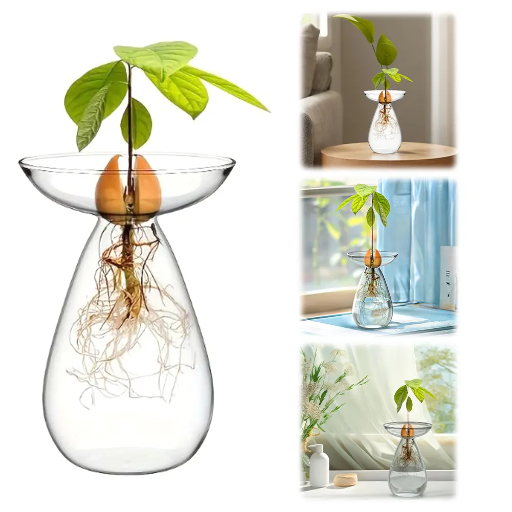 Plant Propagation Station Transparent Glass Avocado Tree Flower Vase Glass Planter Gardening Lovers Home Decor