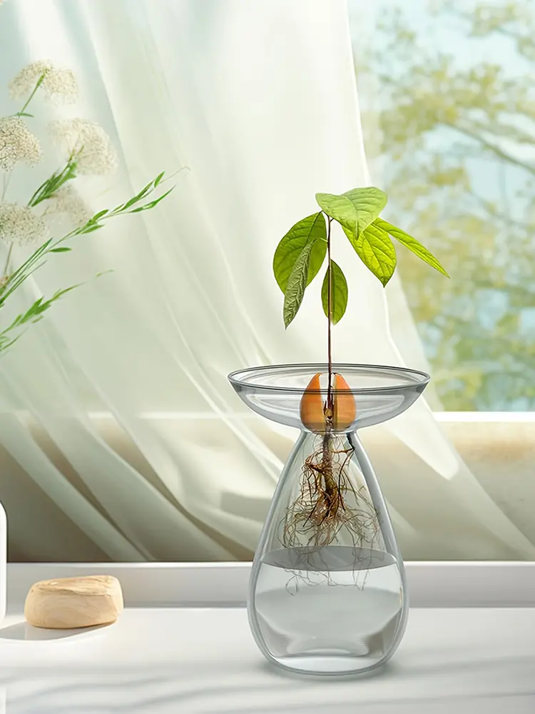 Plant Propagation Station Transparent Glass Avocado Tree Flower Vase Glass Planter Gardening Lovers Home Decor