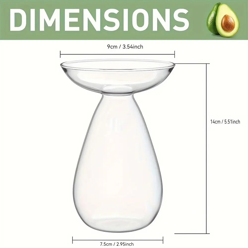 Plant Propagation Station Transparent Glass Avocado Tree Flower Vase Glass Planter Gardening Lovers Home Decor