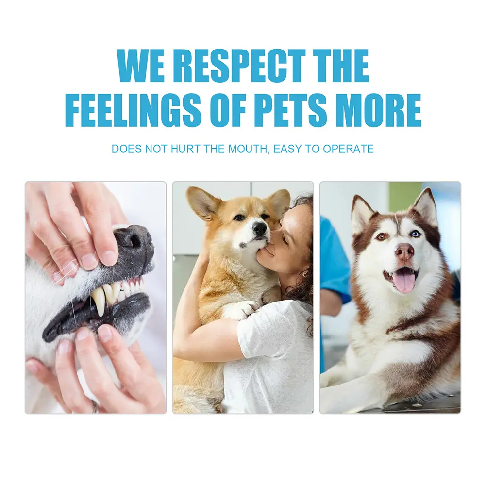 60g Cat Toothpaste Oral Care Puppy Kitten Enzymatic Toothpaste Remove Tartar Deodorant Toothpaste Teeth Cleaning Pet Accessories