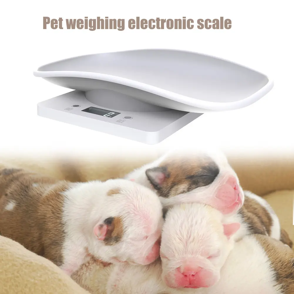 Small Animal Scale Multifunction Kitchen Scale Grams Weight Max 22 Lbs with LCD Display for Puppy Kitten Hamster Hedgehog Food