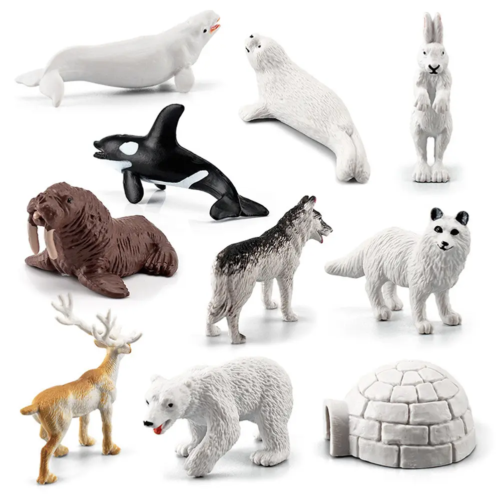 10Pcs Realistic Polar Animal Models Polar Animal Toy Whale Penguin Dolphin Polar Ocean Sea Animal Playset Montessori Animal Toys