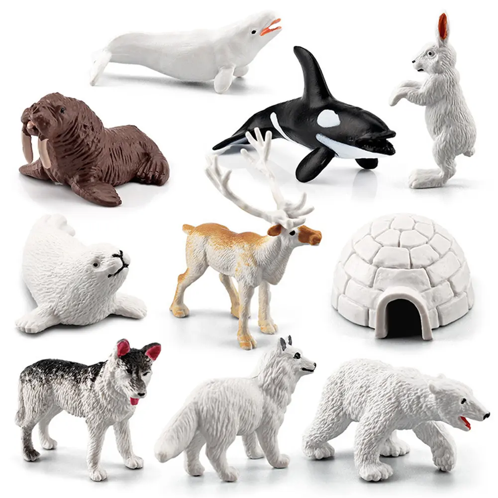 10Pcs Realistic Polar Animal Models Polar Animal Toy Whale Penguin Dolphin Polar Ocean Sea Animal Playset Montessori Animal Toys