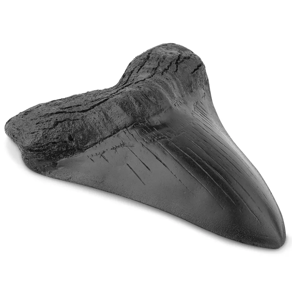 Resin Shark Teeth Marine Bology Teaching Props 5inch Giant Megalodon Tooth Home Decoration Black Shark Teeth Fossil Best Gifts