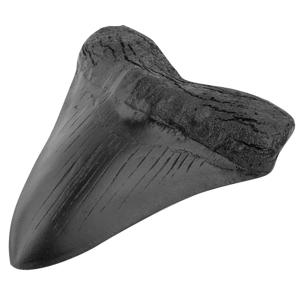 Resin Shark Teeth Marine Bology Teaching Props 5inch Giant Megalodon Tooth Home Decoration Black Shark Teeth Fossil Best Gifts