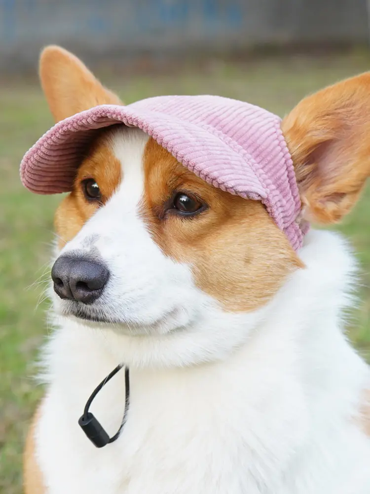 Dog Baseball Cap with Ear Holes Dog Cat Summer Beach Visor Hat Puppy Sunbonnet Headdress for Small Medium Large Dogs