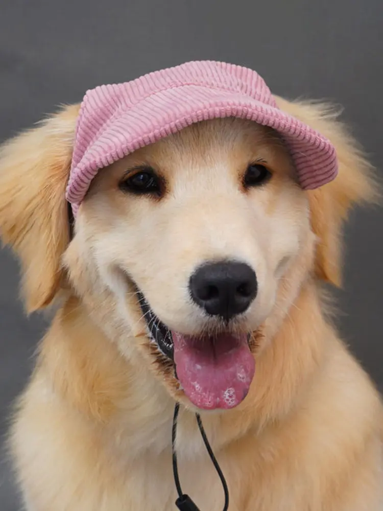 Dog Baseball Cap with Ear Holes Dog Cat Summer Beach Visor Hat Puppy Sunbonnet Headdress for Small Medium Large Dogs