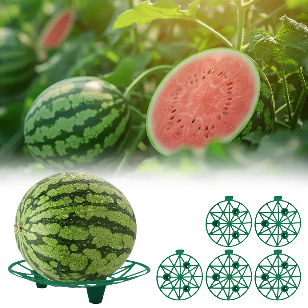 5/10Pcs Watermelon Cradle Reusable Pumpkin Support Tray Watermelon Support Holder for Watermelons Pumpkins Melons Squash
