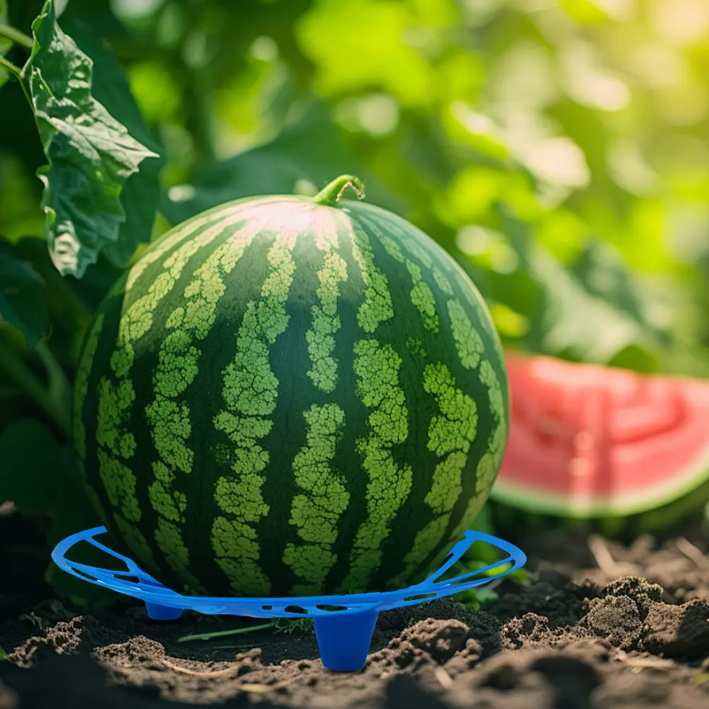 5/10Pcs Watermelon Cradle Reusable Pumpkin Support Tray Watermelon Support Holder for Watermelons Pumpkins Melons Squash
