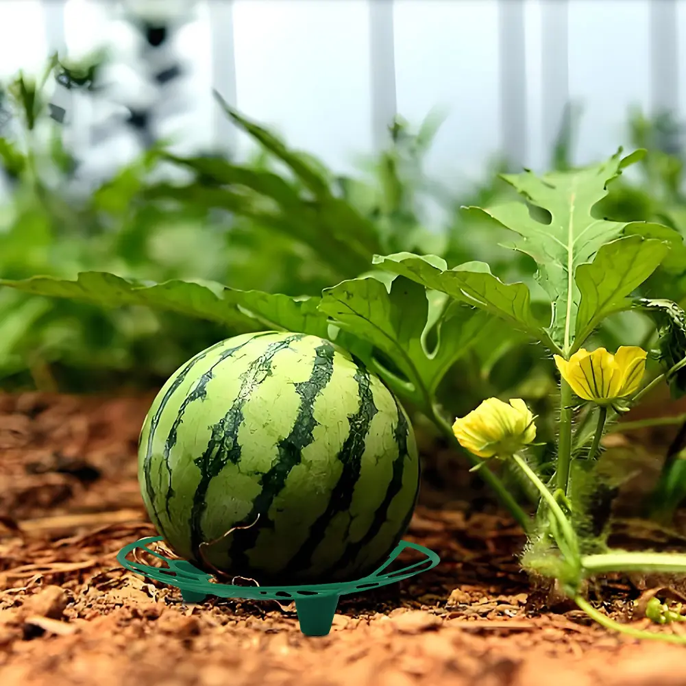 5/10Pcs Watermelon Cradle Reusable Pumpkin Support Tray Watermelon Support Holder for Watermelons Pumpkins Melons Squash