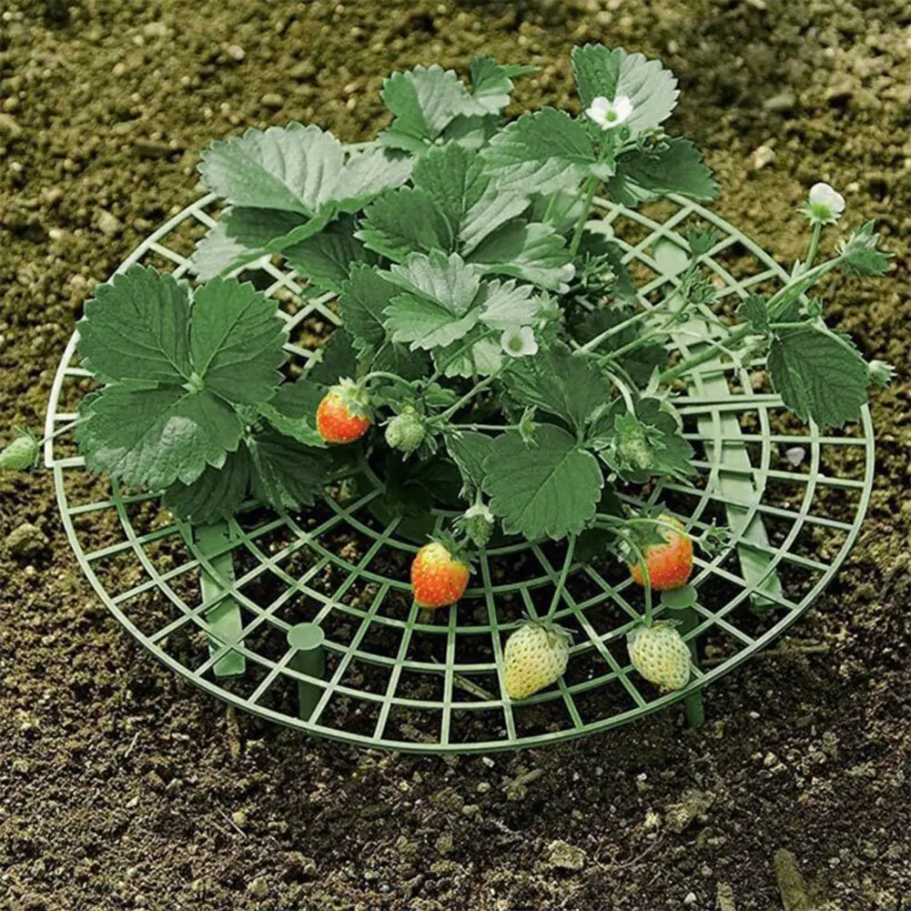 Strawberry Supports with 4 Sturdy Legs Keeping Plant Fruit Stand Strawberry Growing Frame for Protecting Strawberries