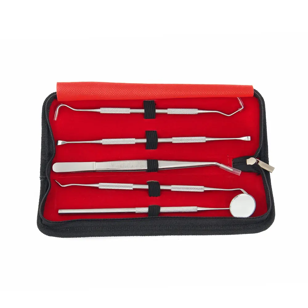 5pcs Stainless Steel Dental Scaler Tool Set Tooth Scraper Mirror Tartar Calculus Plaque Remover Home Dental Calculus Care Kit