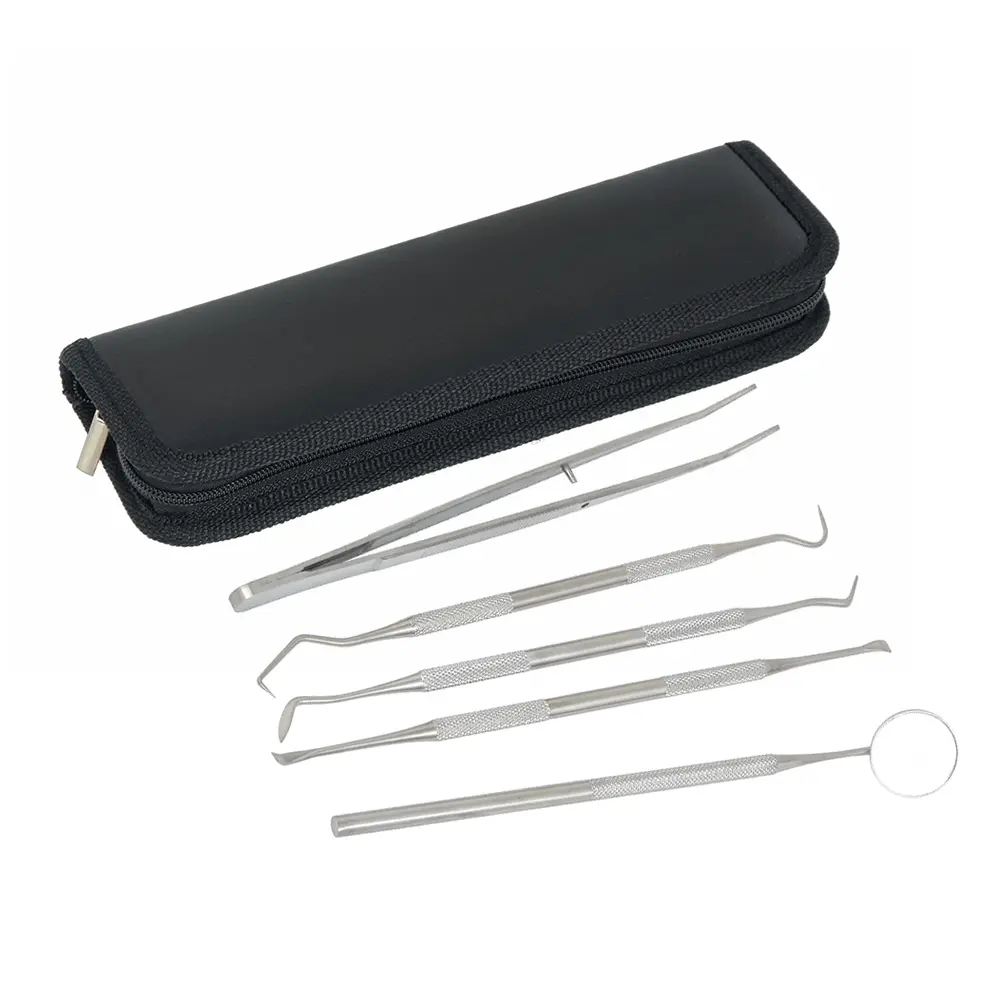 5pcs Stainless Steel Dental Scaler Tool Set Tooth Scraper Mirror Tartar Calculus Plaque Remover Home Dental Calculus Care Kit