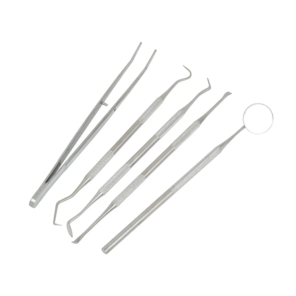 5pcs Stainless Steel Dental Scaler Tool Set Tooth Scraper Mirror Tartar Calculus Plaque Remover Home Dental Calculus Care Kit