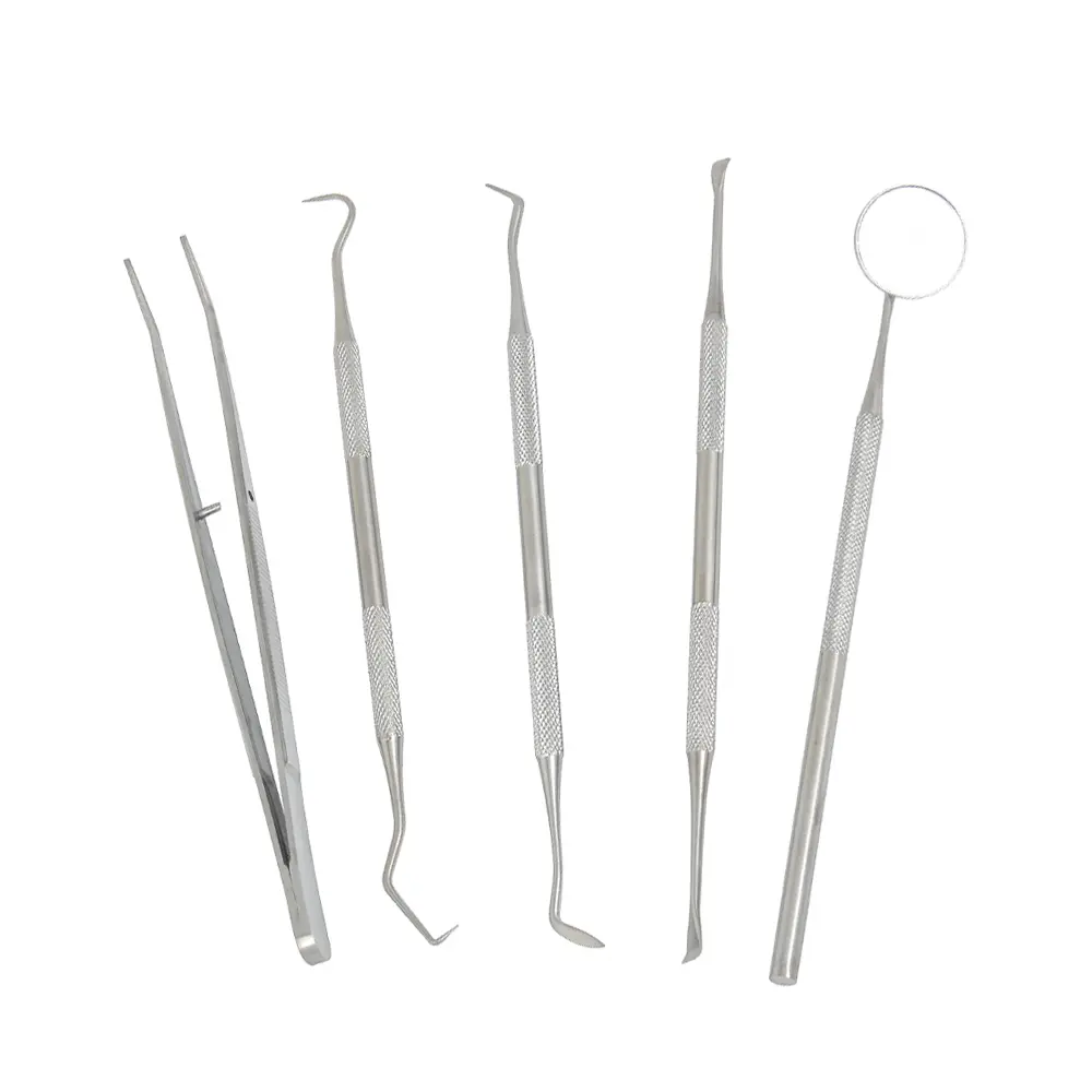 5pcs Stainless Steel Dental Scaler Tool Set Tooth Scraper Mirror Tartar Calculus Plaque Remover Home Dental Calculus Care Kit