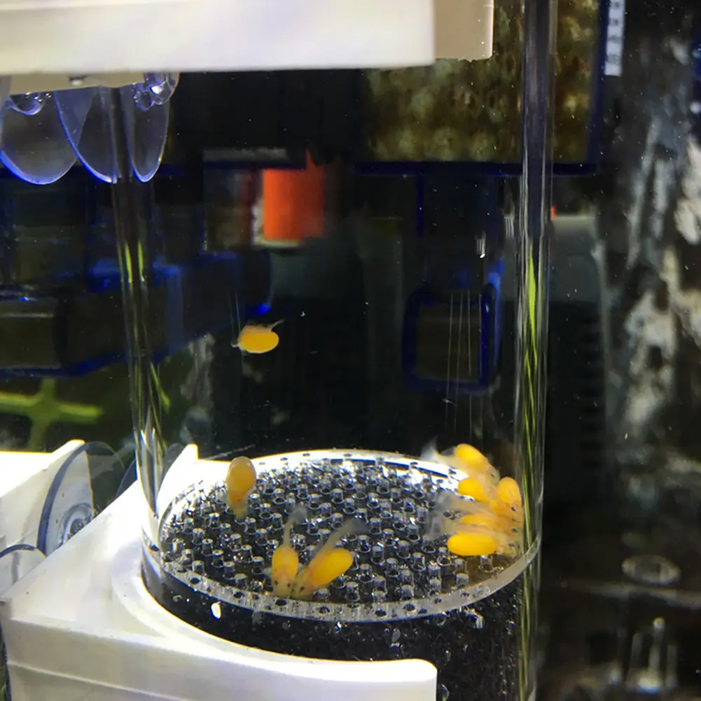 40mm Hatchery Fish Eggs Aquarium Cichlids Tumbler Fish Egg Incubator Accessories Tumbler Incubator Fish Hatchery