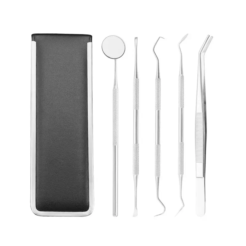 5pcs/6pcs Stainless Steel Dental Oral Hygiene Kit Deep Cleaning Professional Dentist Teeth Care Clean Tool Oral Hygiene Tools