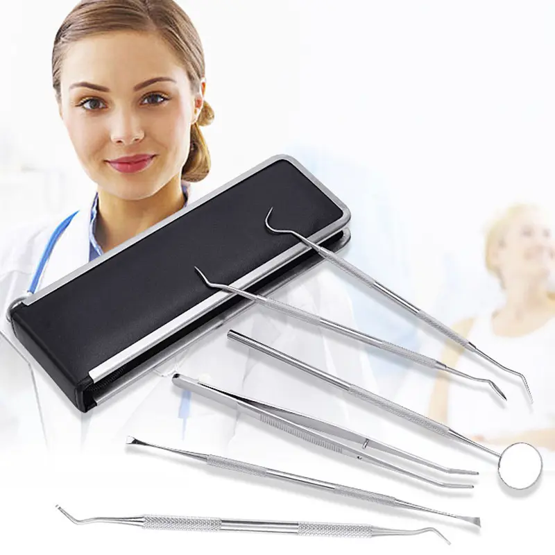5pcs/6pcs Stainless Steel Dental Oral Hygiene Kit Deep Cleaning Professional Dentist Teeth Care Clean Tool Oral Hygiene Tools