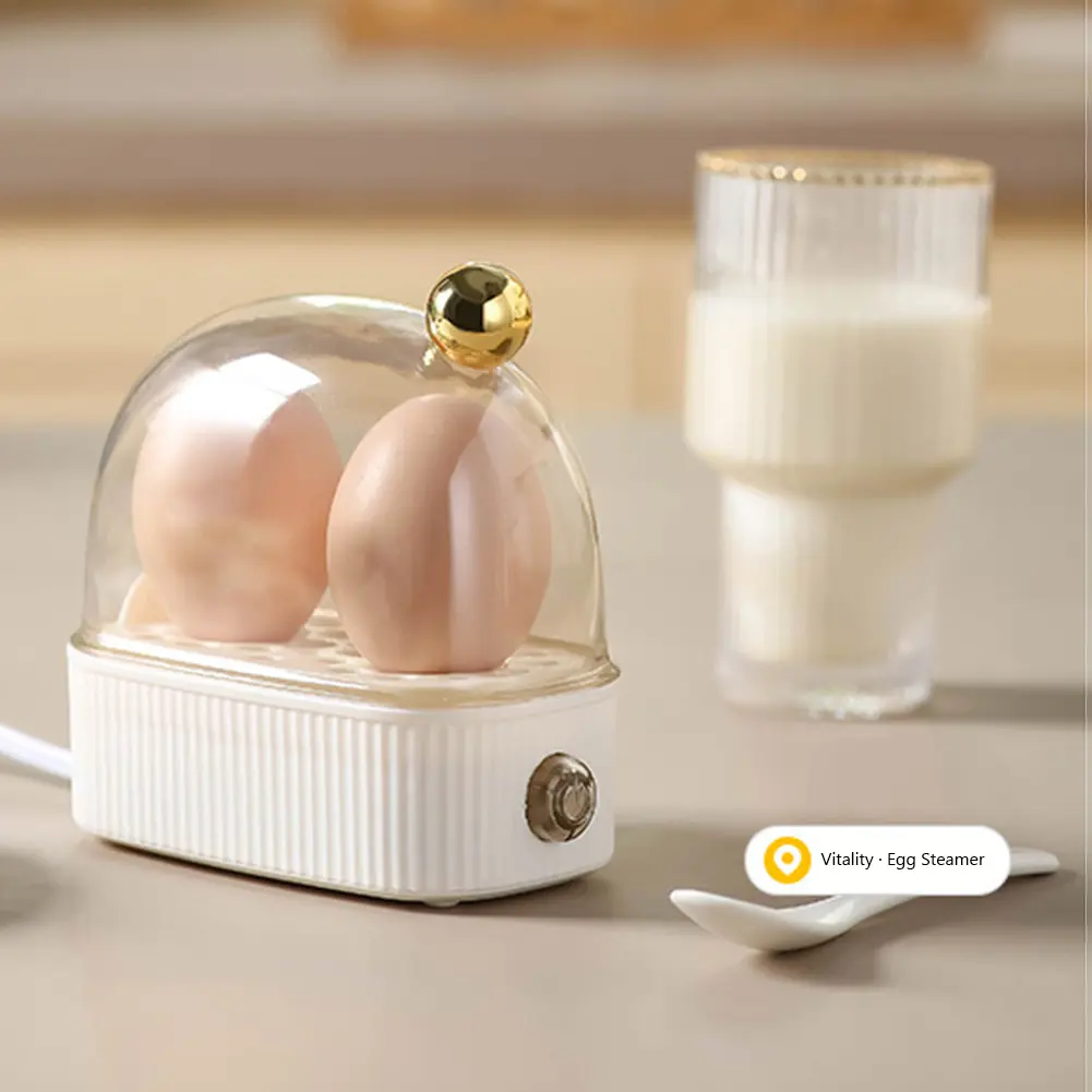 220V Egg Boiler Poacher Automatic Power Off Double Layer Poacher Multi-function & Mini Kitchen Utensil Gift