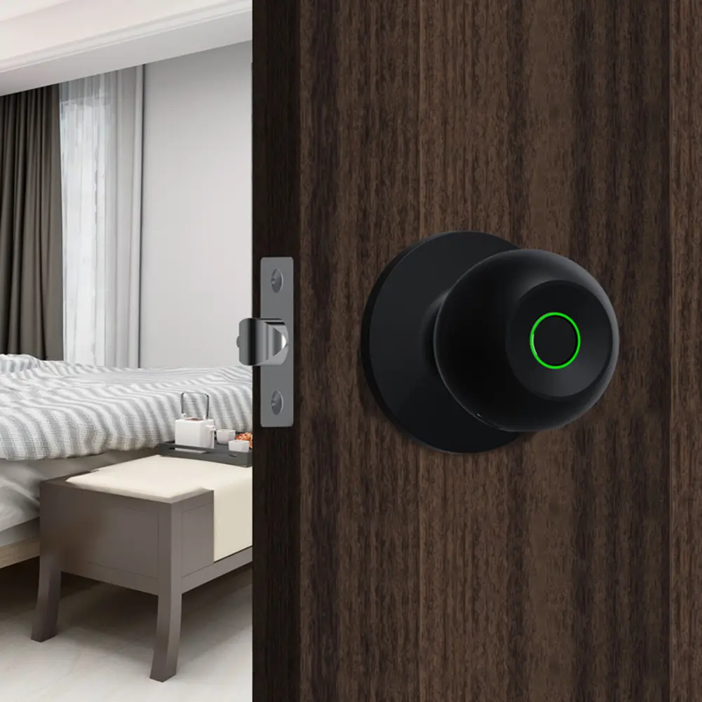 Electronic Door Lock with Keys Smart Door Knob Fingerprint Door Lock Rechargeable TUYA App Control for Bedrooms Cloakroom