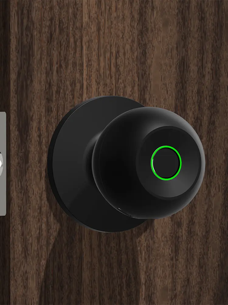 Electronic Door Lock with Keys Smart Door Knob Fingerprint Door Lock Rechargeable TUYA App Control for Bedrooms Cloakroom